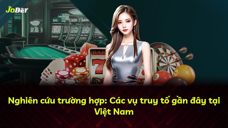 Nghiên cứu trường hợp: Các vụ truy tố gần đây tại Việt Nam